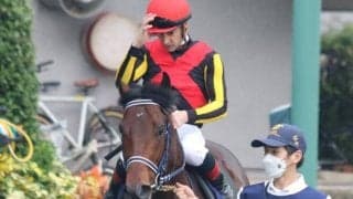4連勝での重賞初Vを狙うジャスティンスカイなど マイラーズC出走想定馬16頭