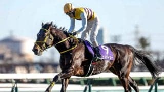 【中山GJ予想】体力・精神面の両方で“スタミナ”が要求されるレース