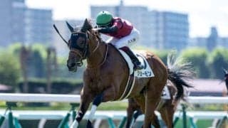 【アーリントンC予想】将来性よりも完成度が問われるレース