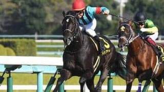 激戦の皐月賞で求められるのは精神的なタフさ 本番への「試走」もこなした経験豊富な馬に一発の期待