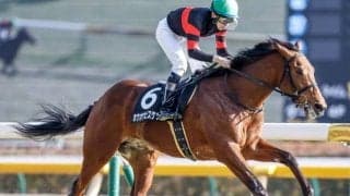 【皐月賞予想】超縦長ハイペースが大波乱を演出!? 美味しい配当が期待できるオススメ穴馬とは