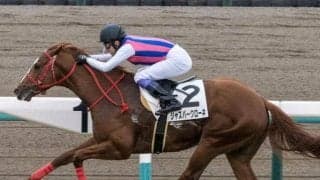 【土曜中山8R予想】叩き2戦目で快速馬が巻き返す