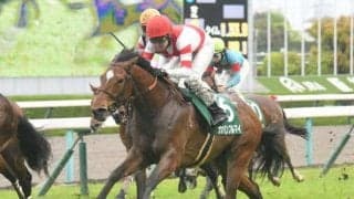 【アーリントンC結果】オオバンブルマイが差し切って重賞2勝目