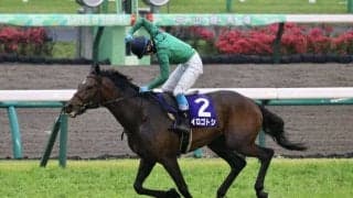 【中山GJ】イロゴトシが大差圧勝！障害G1初制覇…ニシノデイジーは痛恨の出遅れ