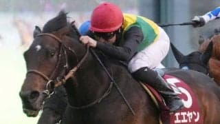 【ニュージーランドT】デムーロ「最後まで良い脚を見せてくれた」エエヤンが3連勝で重賞初V