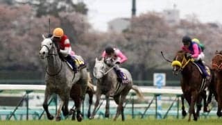 名手の好判断とパワフルな走りから生まれた“ゴルシワープ”  12年の皐月賞プレイバック