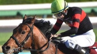 日曜日の馬場予想＆狙い馬 中山は中団外目の馬に分があるか