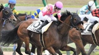 【利根川特別】末脚の破壊力抜群 クインズミモザの差し切りだ