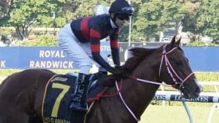 【オールエイジドS】矢作師「思った以上に悪い馬場」ホウオウアマゾンは7着敗退