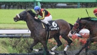 【下総S】レーンが本日3勝目！ガンダルフで内から抜け出し快勝