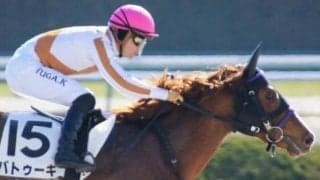 【日曜中山5R】前走は不完全燃焼のバトゥーキ 好相性の川田騎手で必勝だ