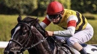 【日曜福島6R予想】坂路で好時計連発！ ダート替わりで圧勝も