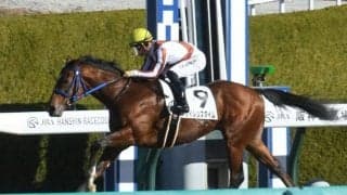 15日の出来事一覧 阪神6Rで大差入線のサイレンスタイムは異常歩様