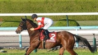 【皐月賞予想】レースセンスとスピードを競う三冠クラシック初戦