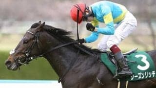 ダービー一本に照準を絞ったシーズンリッチ 同厩の重賞馬にもひけを取らない調教どおりの走りを見せれば一発の可能性も