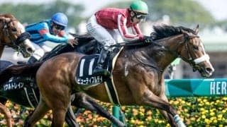 【春雷S予想】1200mで2戦2勝＆距離短縮で3戦3勝 前走11着から巻き返し期待