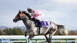 【大井・東京スプリント枠順確定】リュウノユキナは1枠1番、エアアルマスは5枠5番