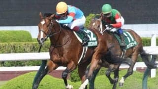 【アンタレスS結果】プロミストウォリアが逃げ切り5連勝