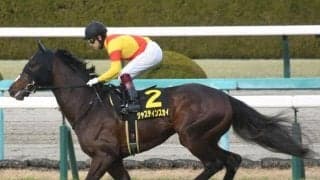 【マイラーズC】ジャスティンスカイ、ソウルラッシュらが登録