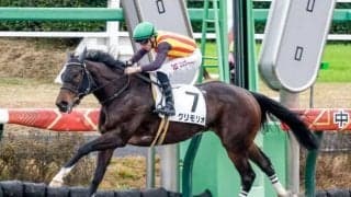 野島崎特別除外のグリモリオは第3頚椎骨折 16日の出来事一覧