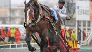 【ばんえい十勝】第1回能力試験に56頭が合格…トップタイムはカワノデッカー