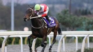 【水沢・留守杯日高賞】大井所属ワイズゴールドが鮮やかな逃げ切り…山本「道中の手応えは上々」