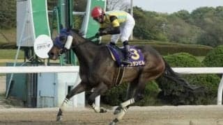 【佐賀ヴィーナスC】大井所属ジュランビルが抜け出す