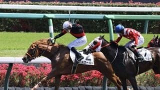 【中山5R】レーン騎乗、スクーバーが2勝目…出負けも関係なし