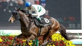 22日に新・京都競馬場がグランドオープン/今週の競馬界の見どころ