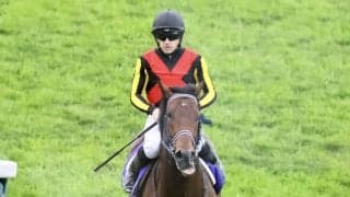 【マイラーズC登録馬】シュネルマイスターなど16頭