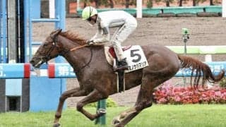 【フローラS登録馬】キミノナハマリアなど15頭