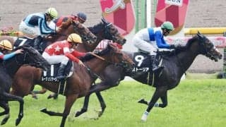 【福島牝馬S登録馬】ストーリアなど16頭