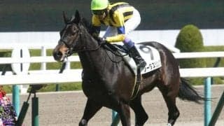 【フローラS見どころ】ソーヴァリアントの妹ソーダズリングが連勝を狙う