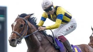 霜降り明星粗品氏 皐月賞本命ベラジオオペラは10着＆無印ソールオリエンスが圧勝