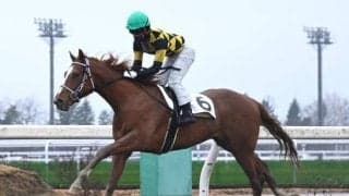 19日の門別6Rで“日本一早い2歳新馬戦” 新種牡馬アポロケンタッキーの産駒など出走