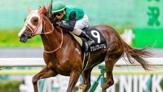【福島牝馬S想定騎手】クリノプレミアムは柴田善臣騎手、ストーリアは横山武史騎手