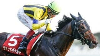 20年富士S覇者ヴァンドギャルド、ダート中距離で活躍のナムラカメタローなどがJRA登録を抹消