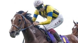 皐月賞馬ソールオリエンス 凱旋門賞の前売りオッズで5番人気タイの17倍に