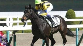 【フローラS想定騎手】ソーダズリングは戸崎圭太騎手、イングランドアイズは横山和生騎手