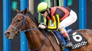 【マイラーズC想定騎手】シュネルマイスターはC.ルメール騎手、ジャスティンスカイは川田将雅騎手