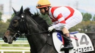 400kg未満の超軽量馬 フローラSで15年ぶりのJRA重賞Vなるか