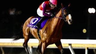 【大井・ブリリアントC枠順】前走で重賞5勝目飾ったギガキングは2枠2番