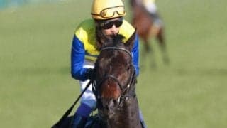 武豊騎手が29年ぶり3度目のマイラーズC勝利へ エアロロノアで2週連続重賞制覇狙う