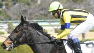 【フローラS予想オッズ】ソーダズリングが予想1番人気