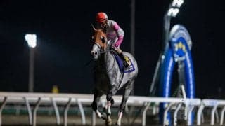 【東京スプリント】リュウノユキナは最内枠