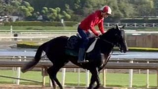 【ケンタッキーダービー】マンダリンヒーローは出走順位25番目…木村和士騎手とのコンビで出走目指す