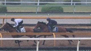 オープンファイア、青葉賞1週前追い切り速報/栗東トレセンニュース