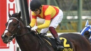 【マイラーズC】友道厩舎では異色!?のマイラー ジャスティンスカイが重賞初制覇なるか