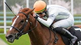 鮫島良太騎手が好走続くキミノナハマリアでフローラS参戦 バッチリの相性生かせるか