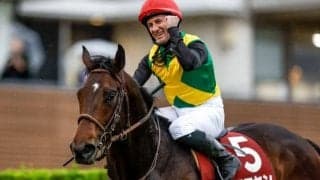 今年も3歳マイル王決定戦に精鋭集結 NHKマイルC出走想定馬16頭